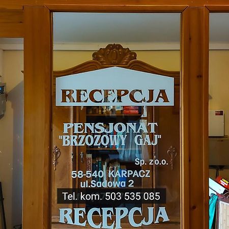 Brzozowy Gaj - Pensjonat Karpacz Exterior photo
